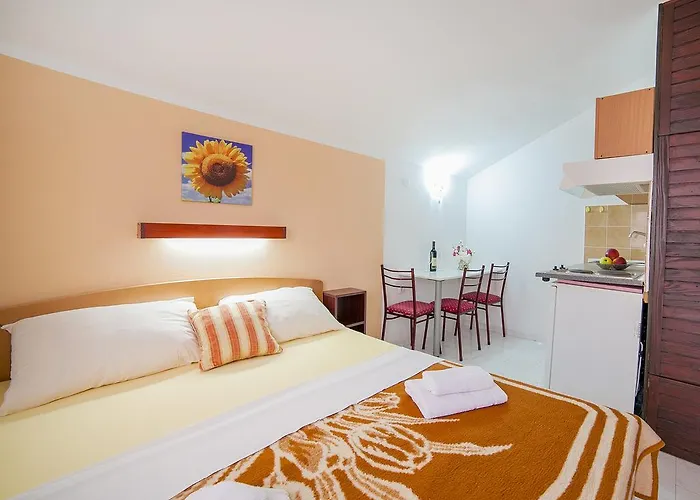 Accommodation Petrovic